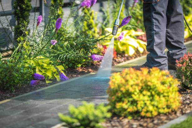 Best Patio and Deck Pressure Washing  in , VT